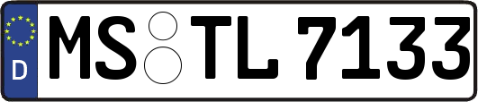 MS-TL7133