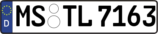 MS-TL7163