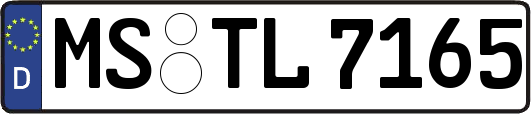 MS-TL7165