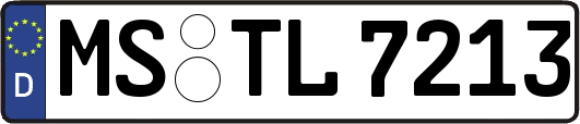 MS-TL7213