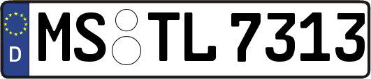 MS-TL7313