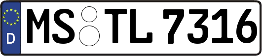 MS-TL7316
