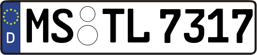 MS-TL7317