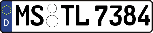 MS-TL7384