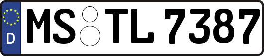MS-TL7387