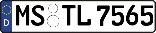 MS-TL7565