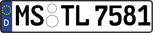 MS-TL7581