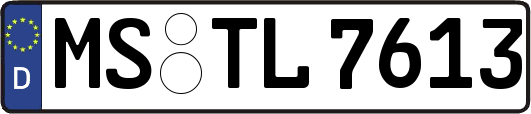 MS-TL7613