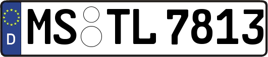 MS-TL7813