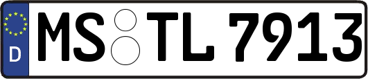 MS-TL7913