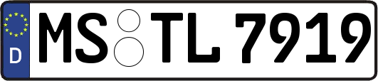 MS-TL7919