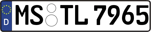 MS-TL7965