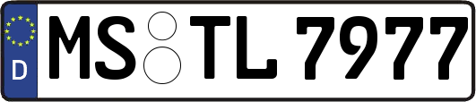 MS-TL7977