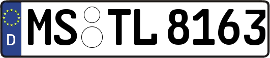MS-TL8163