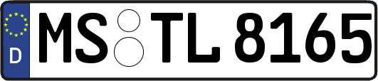 MS-TL8165
