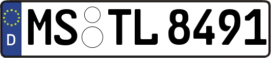 MS-TL8491