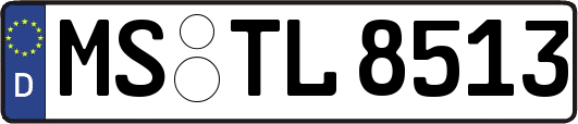 MS-TL8513
