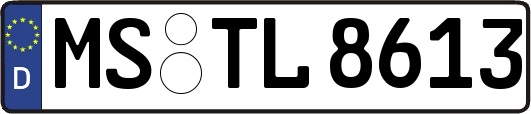 MS-TL8613