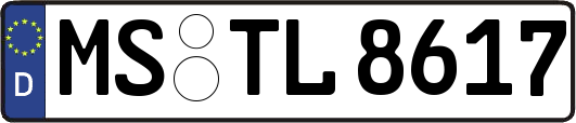 MS-TL8617