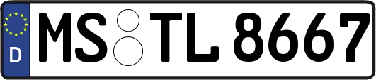 MS-TL8667