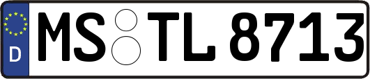 MS-TL8713