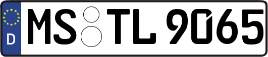 MS-TL9065