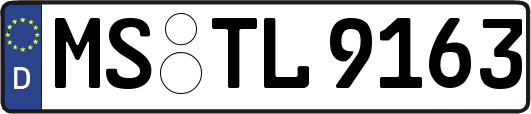 MS-TL9163