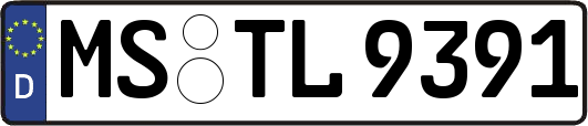 MS-TL9391