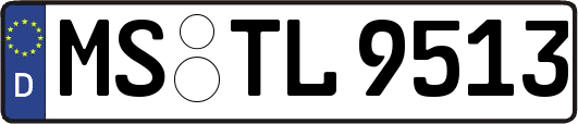 MS-TL9513