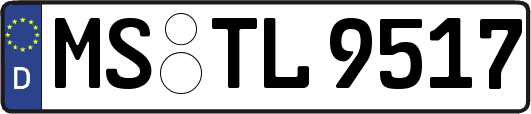 MS-TL9517