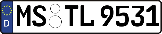MS-TL9531