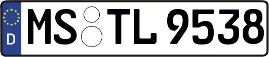 MS-TL9538