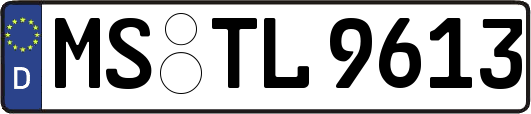 MS-TL9613
