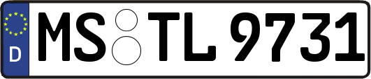 MS-TL9731