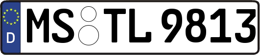 MS-TL9813