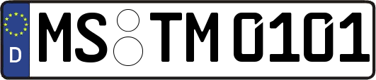 MS-TM0101