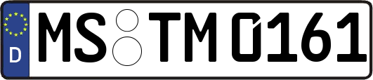 MS-TM0161