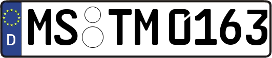MS-TM0163