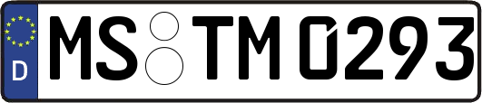 MS-TM0293
