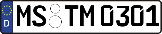 MS-TM0301