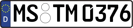 MS-TM0376