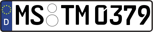 MS-TM0379