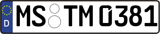 MS-TM0381