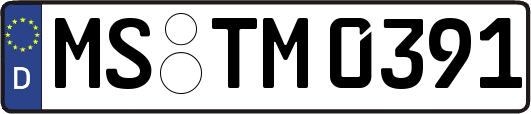 MS-TM0391