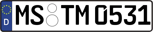 MS-TM0531