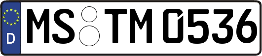 MS-TM0536