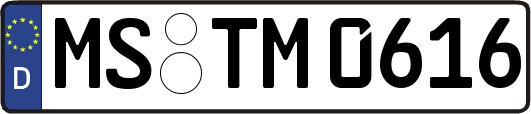 MS-TM0616