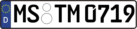 MS-TM0719