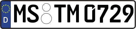 MS-TM0729