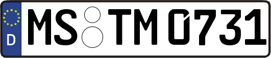 MS-TM0731